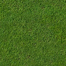 Greendale Turf Supplies